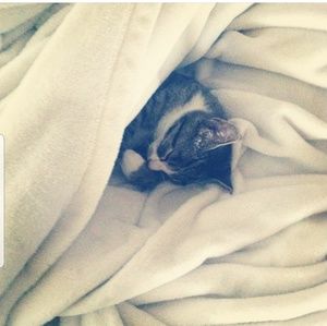 Meet your Posher, Cecilia